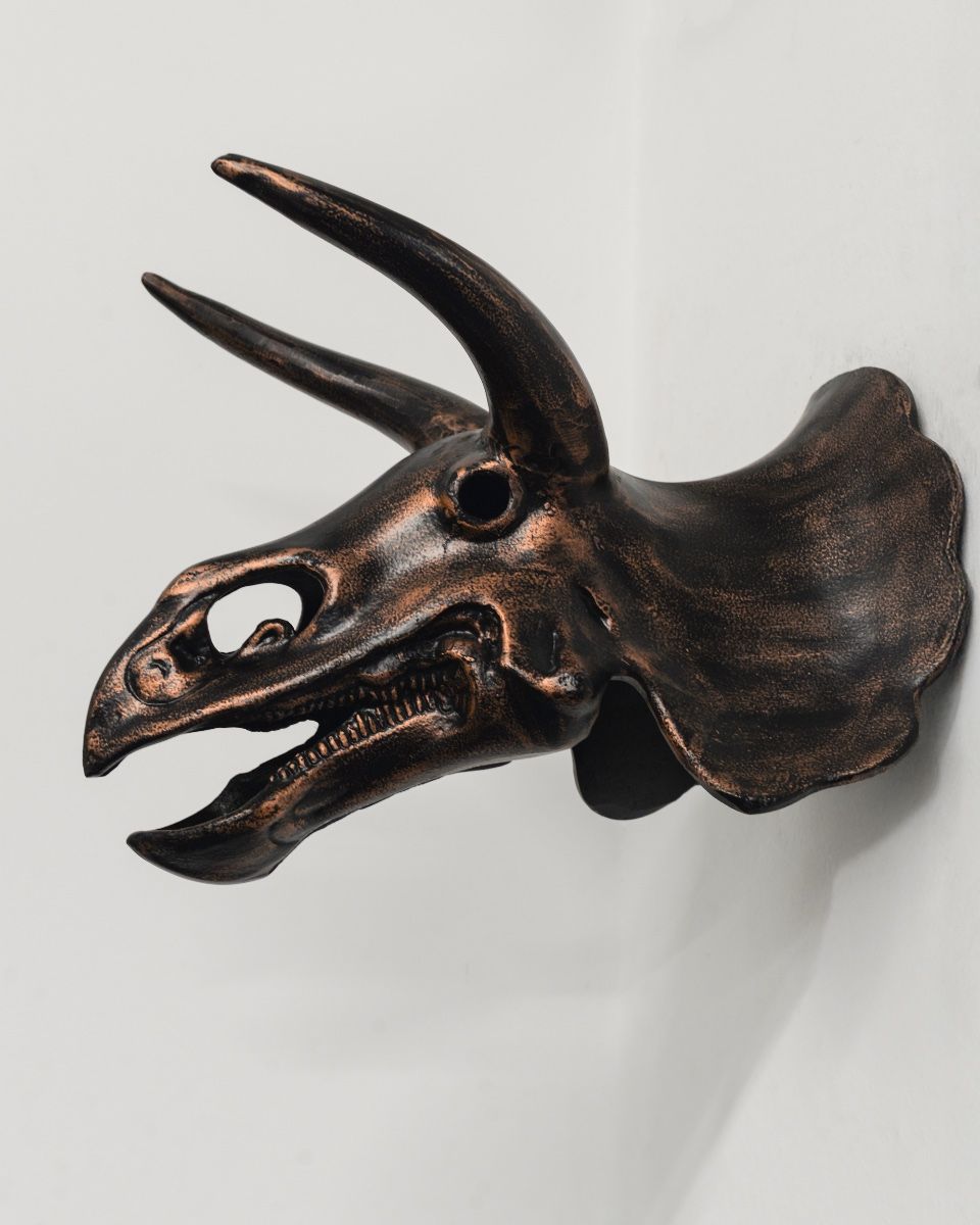 Triceratops Skull Cast Aluminium Wall Art side view