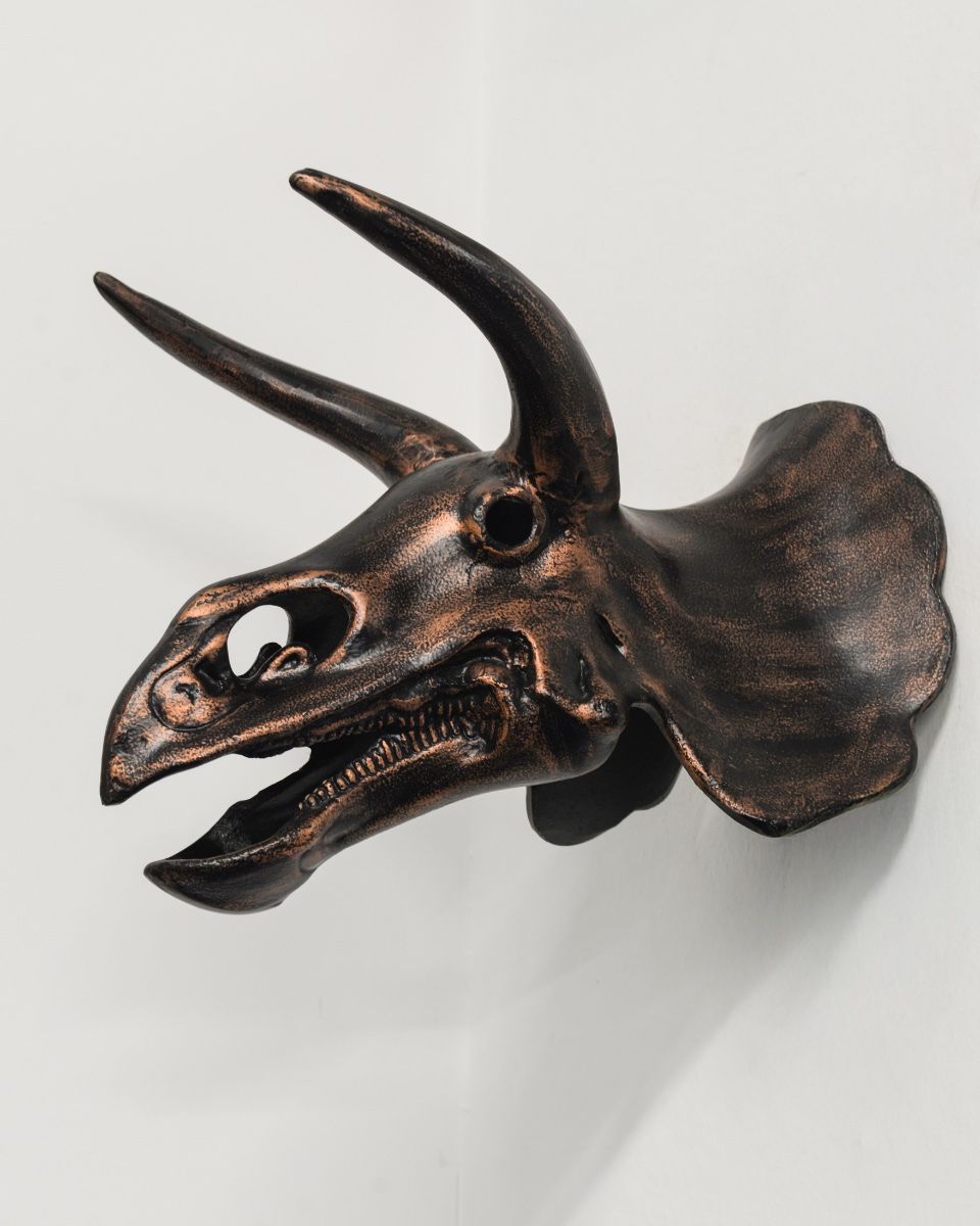 Triceratops Skull Cast Aluminium Wall Art angled view of skull