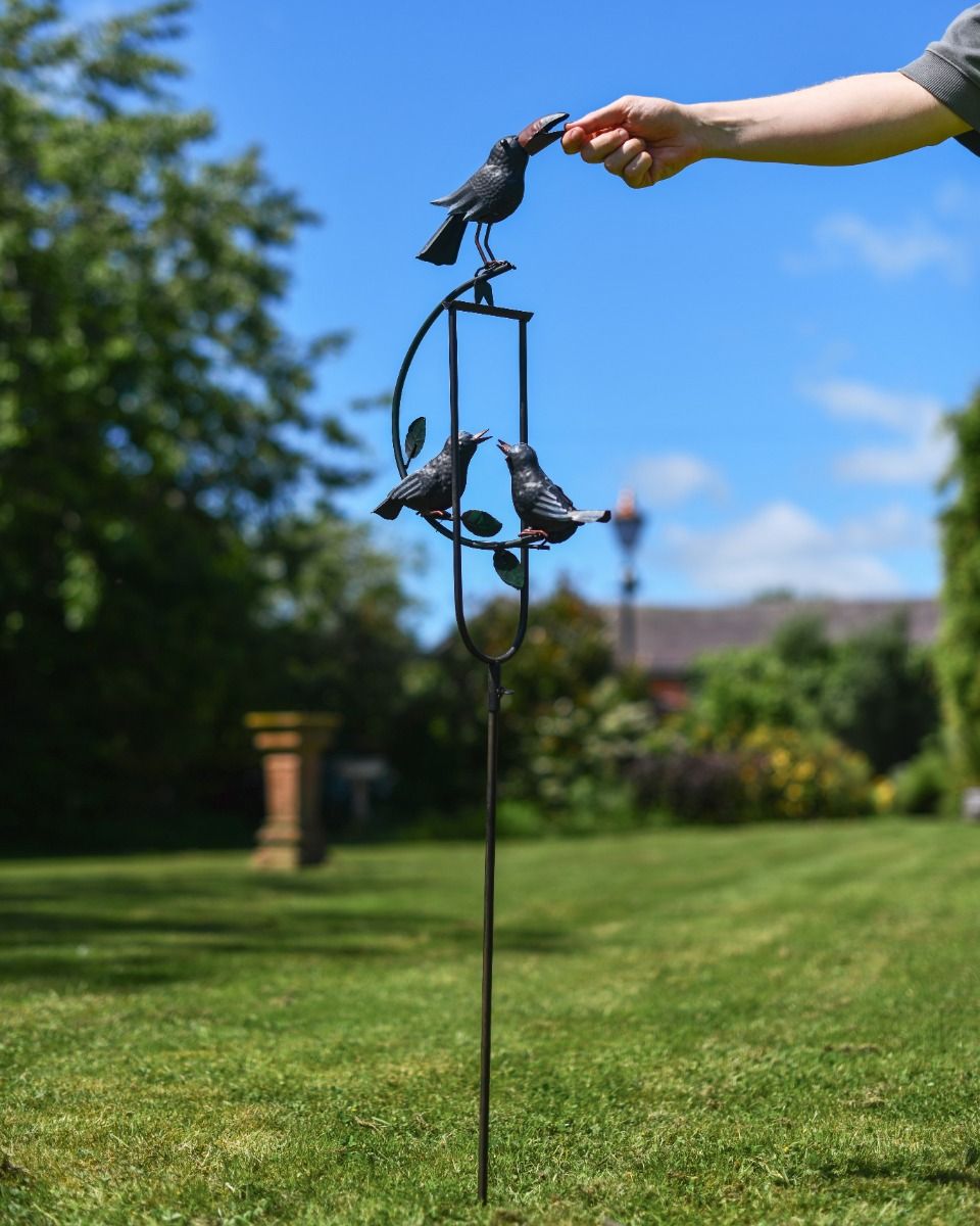 Family of Blackbirds on Spike 