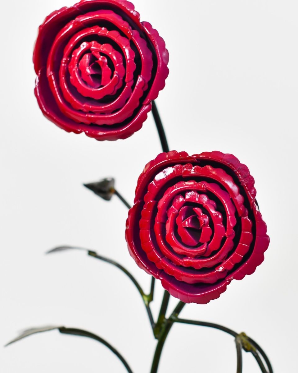Twin bloom Upcycled Steel Botanical Sculpture in Wooden Base - Red roses close up