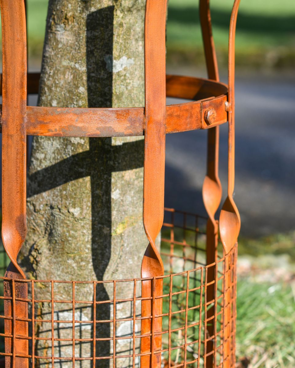 Ornate Details On The Small Rustic Tree Guard  Ornate Details On The Small Rustic Tree Guard