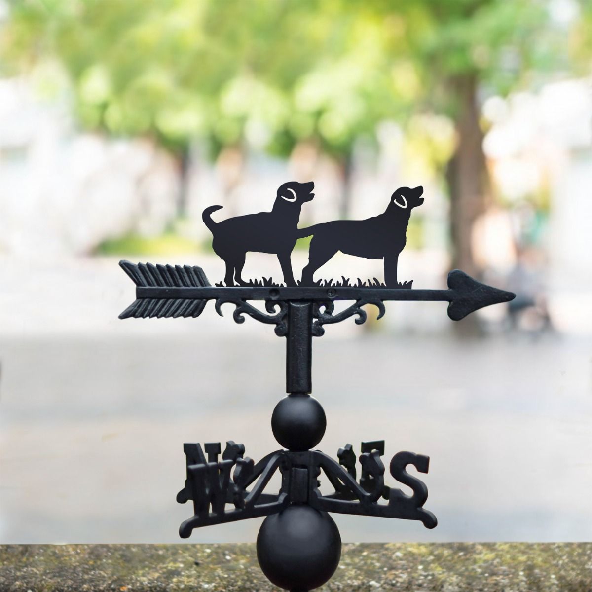 Two Labradors Weathervanes In Situ 