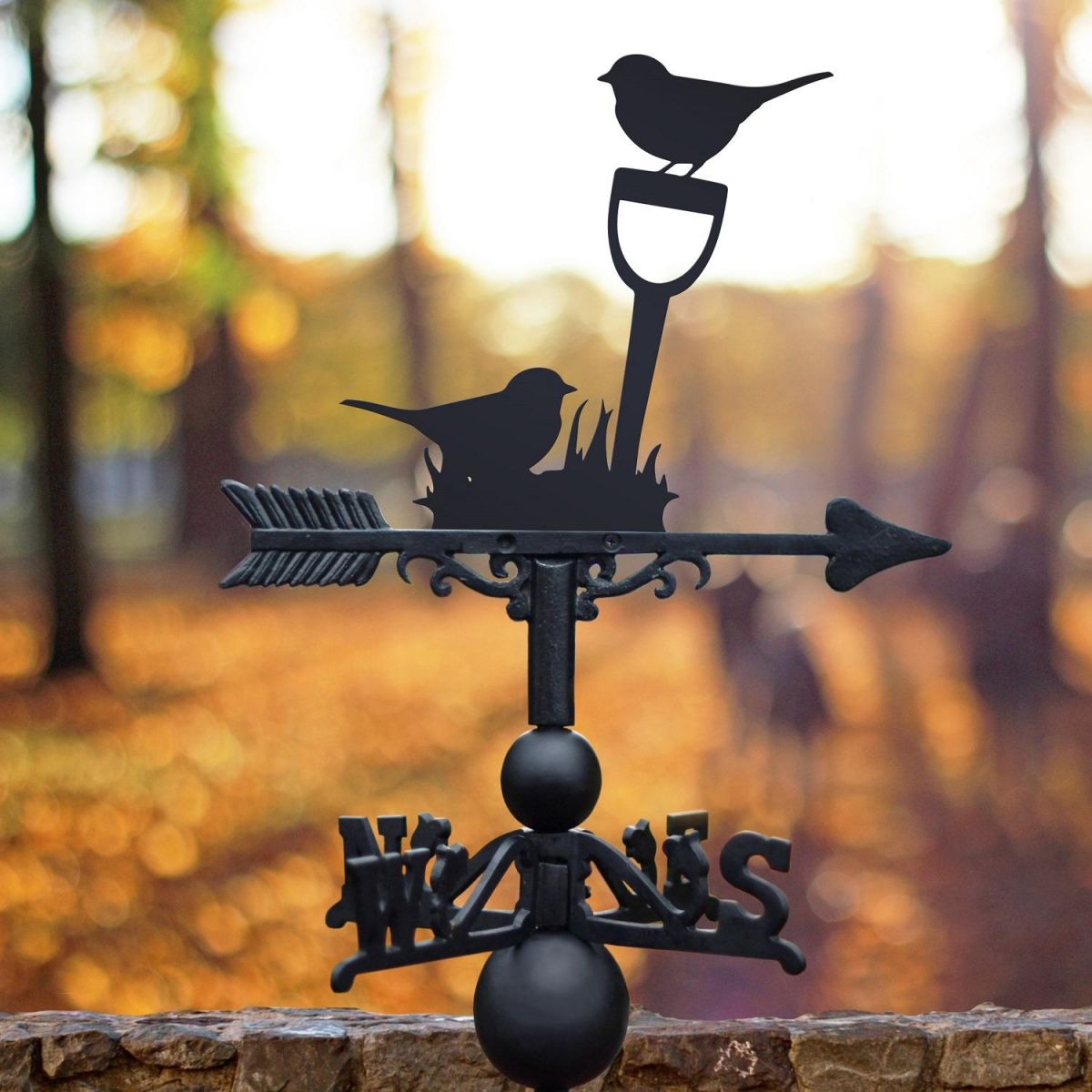 Black Weathervane with Robin Design 