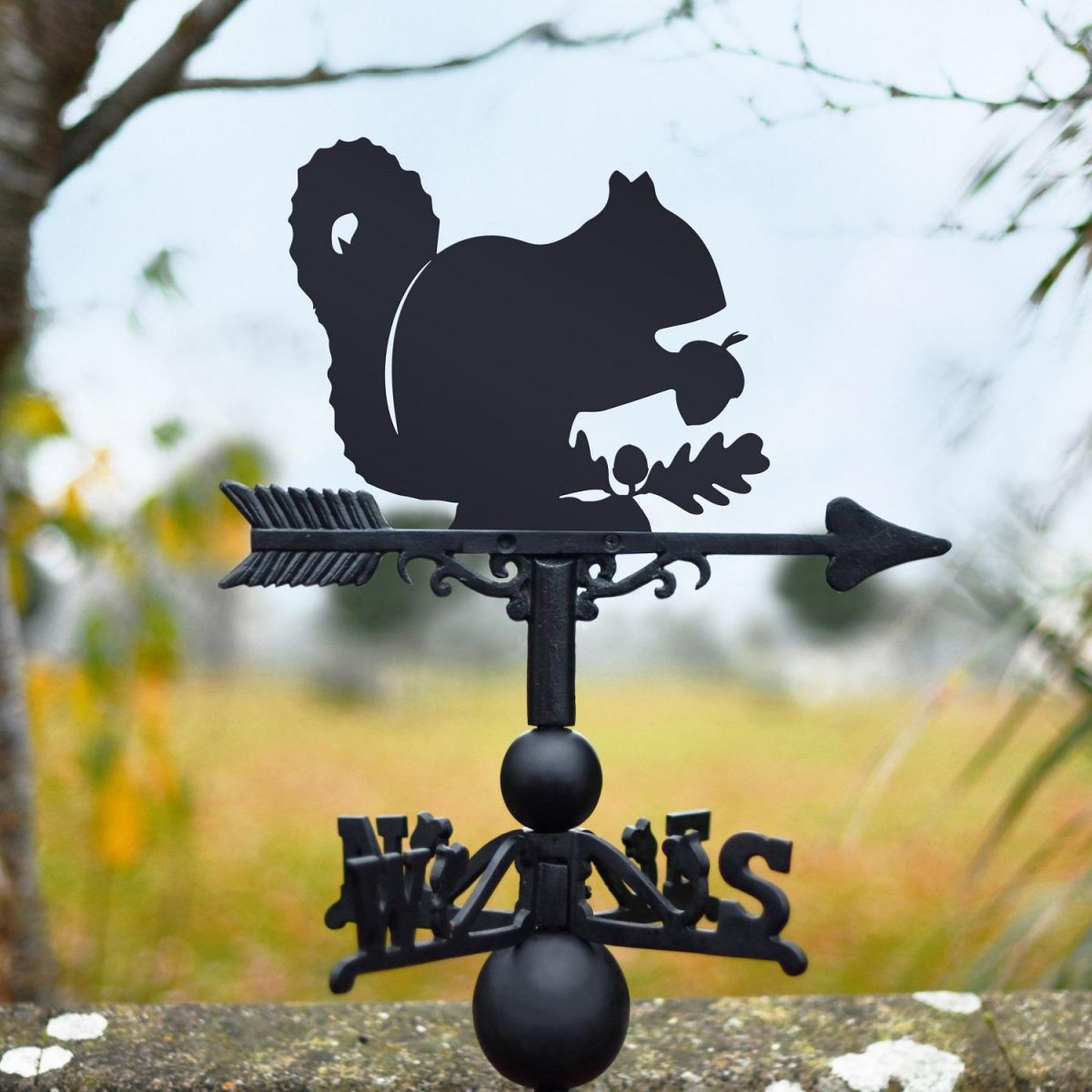 Squirrel Motif on Weathervane 