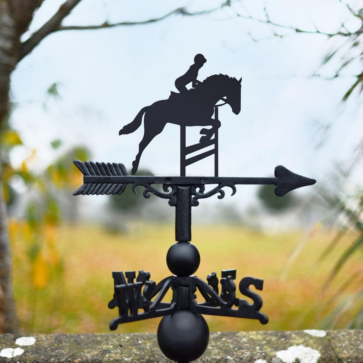 Jumping Horse Weathervane in Situ  Jumping Horse Weathervane in Situ