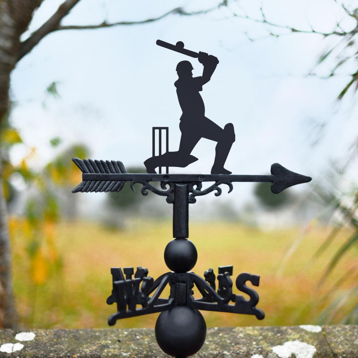Weathervane with Cricket Player Topper