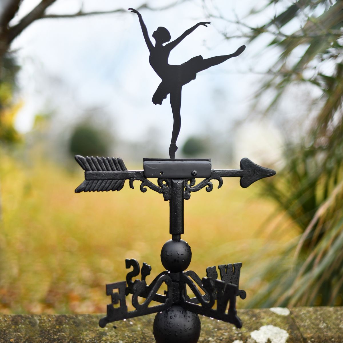 Ballerina Weathervane in Garden