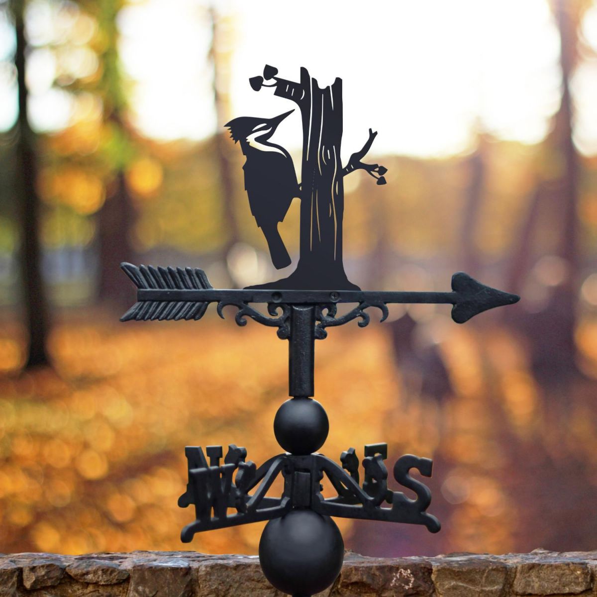 Woodpecker Weathervane in Situ