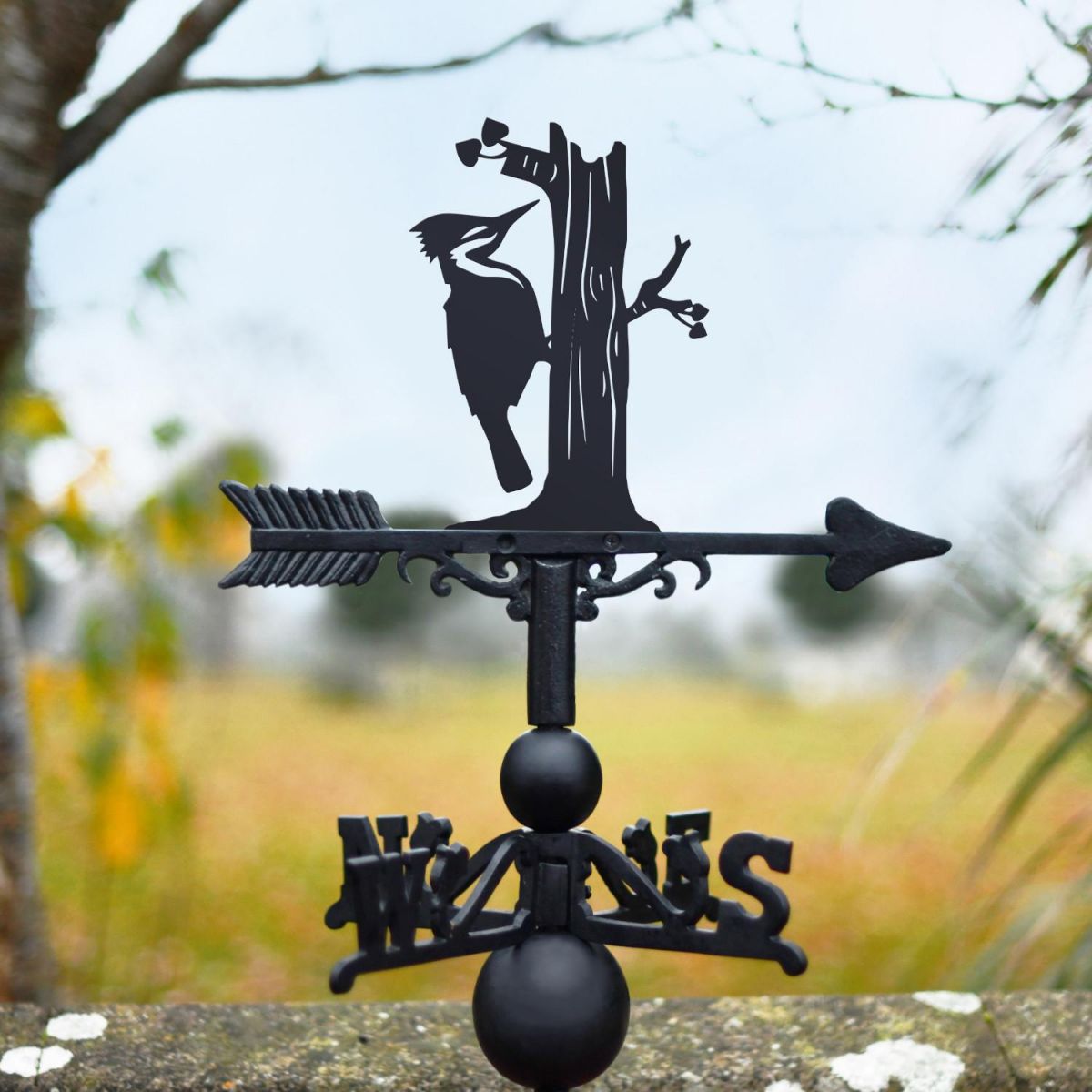Cast Iron & Steel Weathervane with Woodpecker Motif