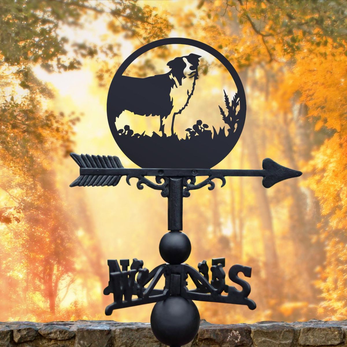 Weathervane with Border Collie Topper