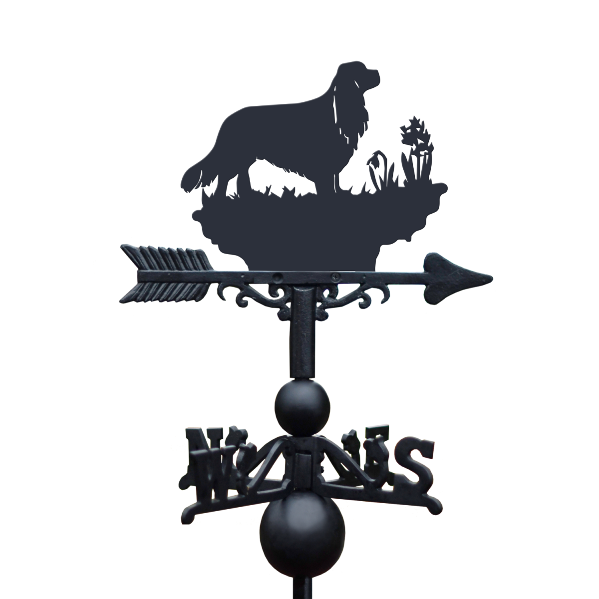 Cavalier King Charles Spaniel Weathervane on White Background