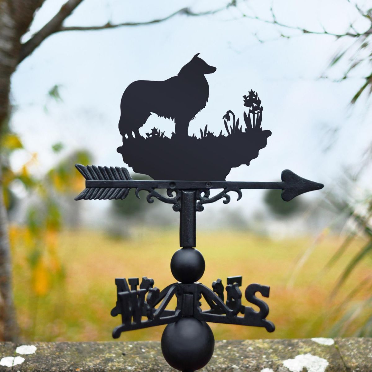 Weathervane with Rough Collie Topper