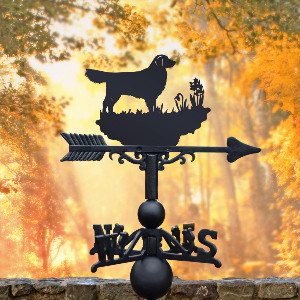 Golden Retriever Weathervane in Situ