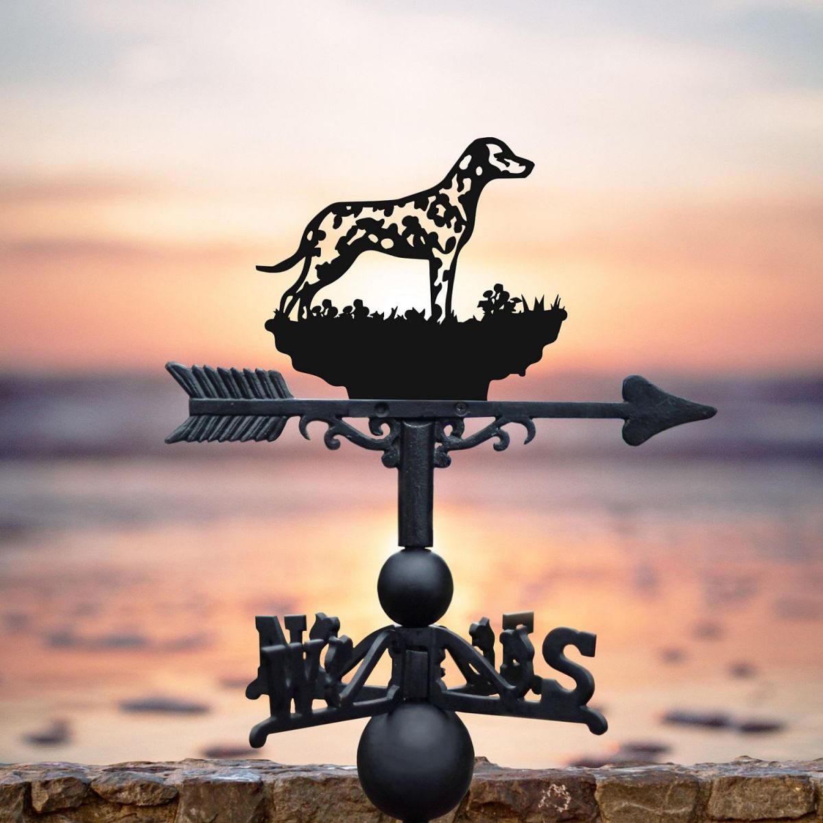 Weathervane with "Dalmatian" Design