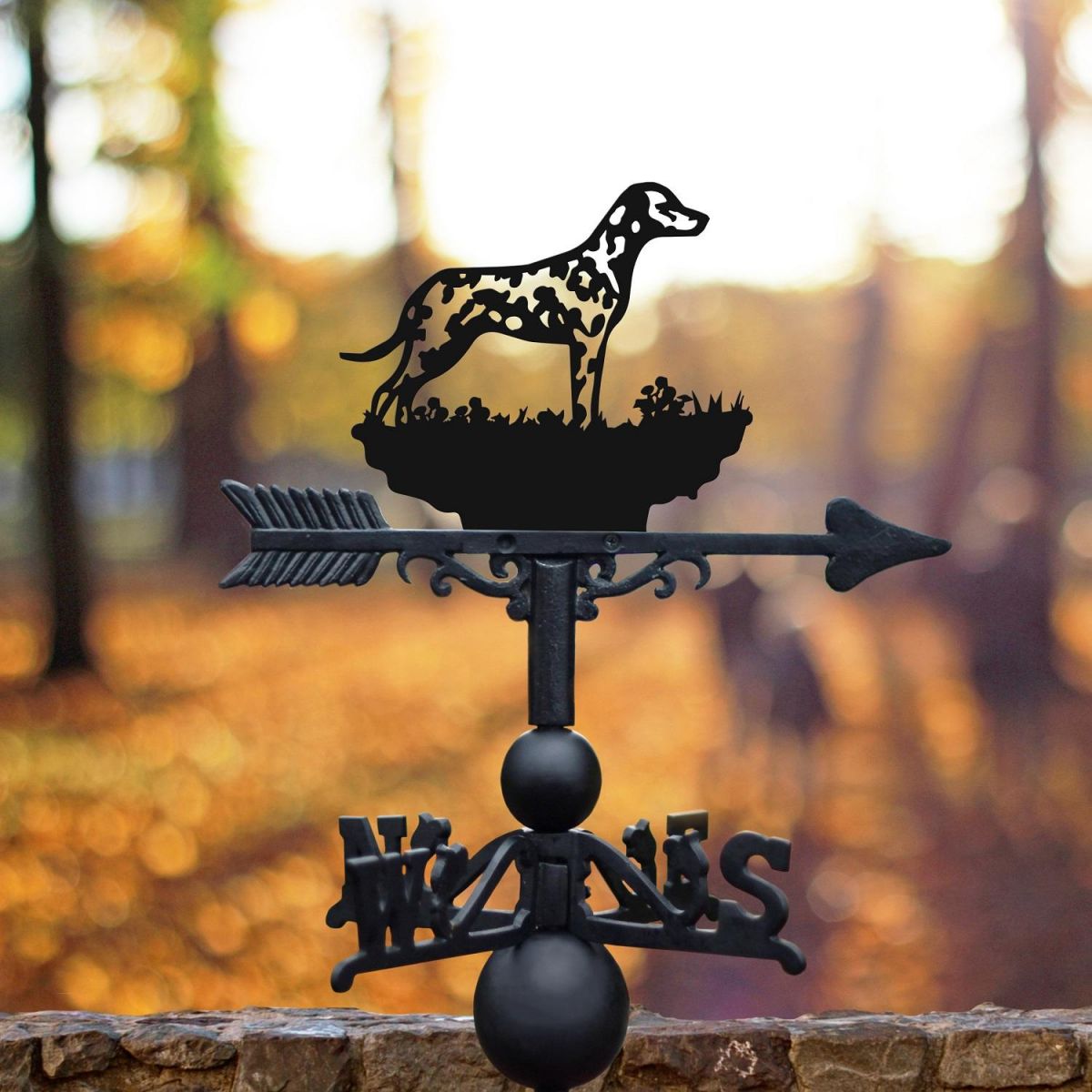"Dalmatian" Weathervane