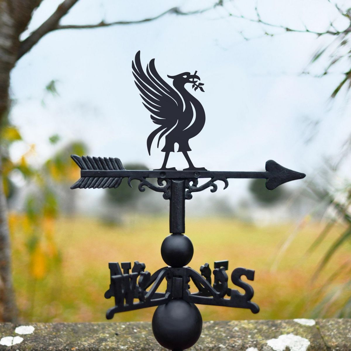 Weathervane with Liver Bird Design