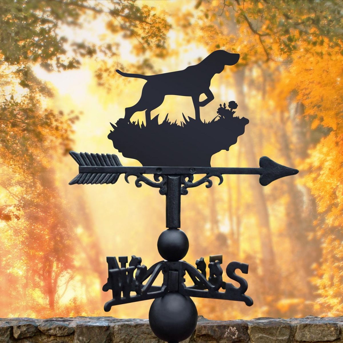 Weathervane with German Shorthaired Pointer 