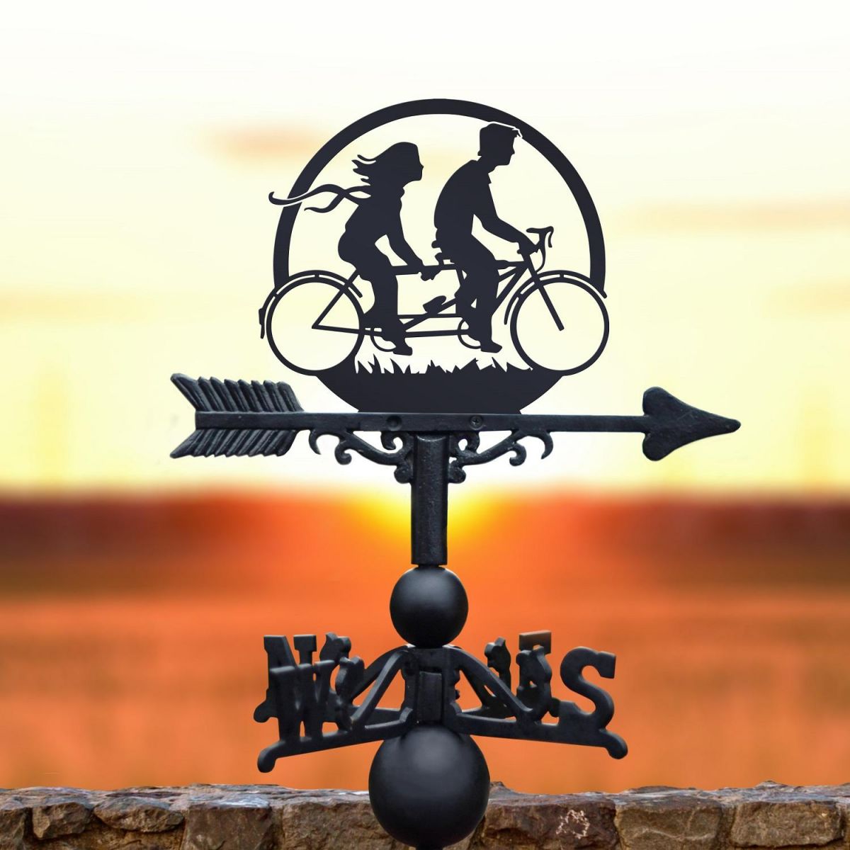 Weathervane Tandem Bike 