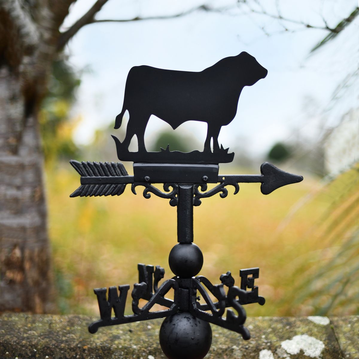 Bull Weathervane in garden