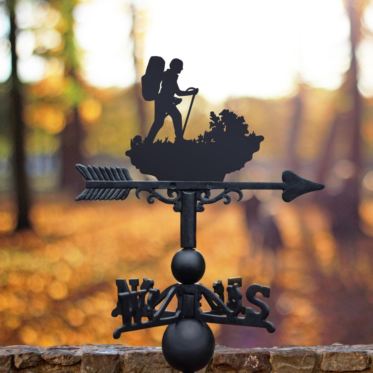 Hiking Weathervane 