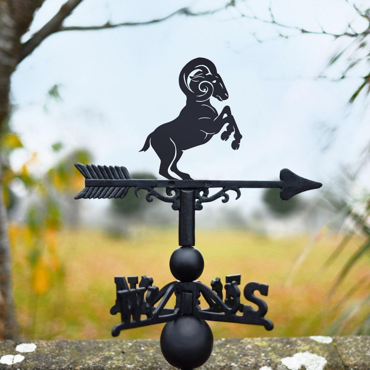 Ram Topper Design on Weathervane 
