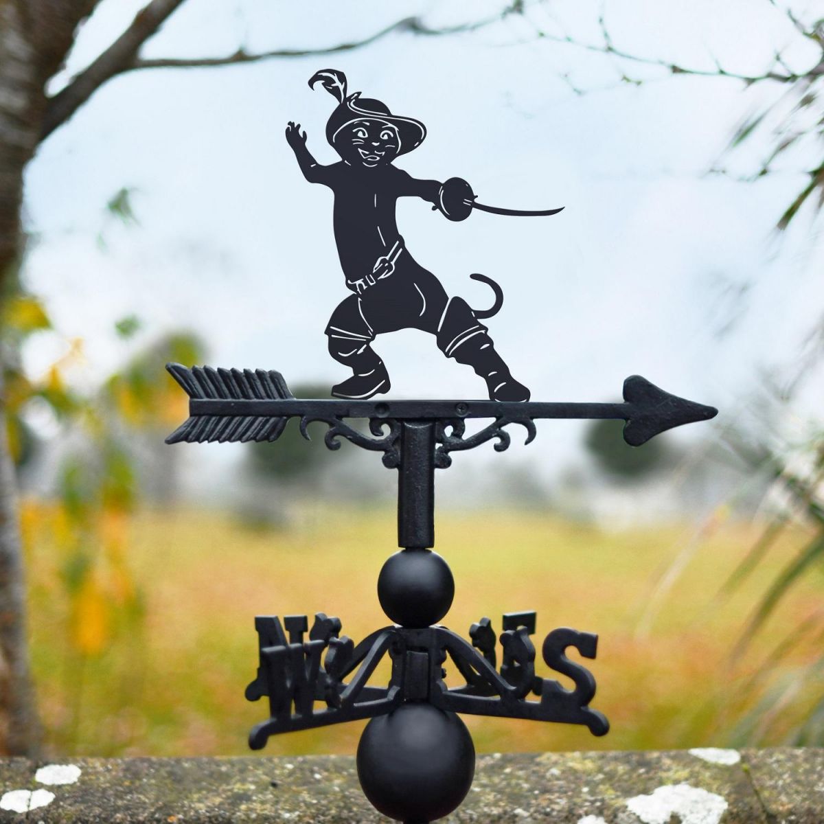 Weathervane with Puss in Boots Topper Design 