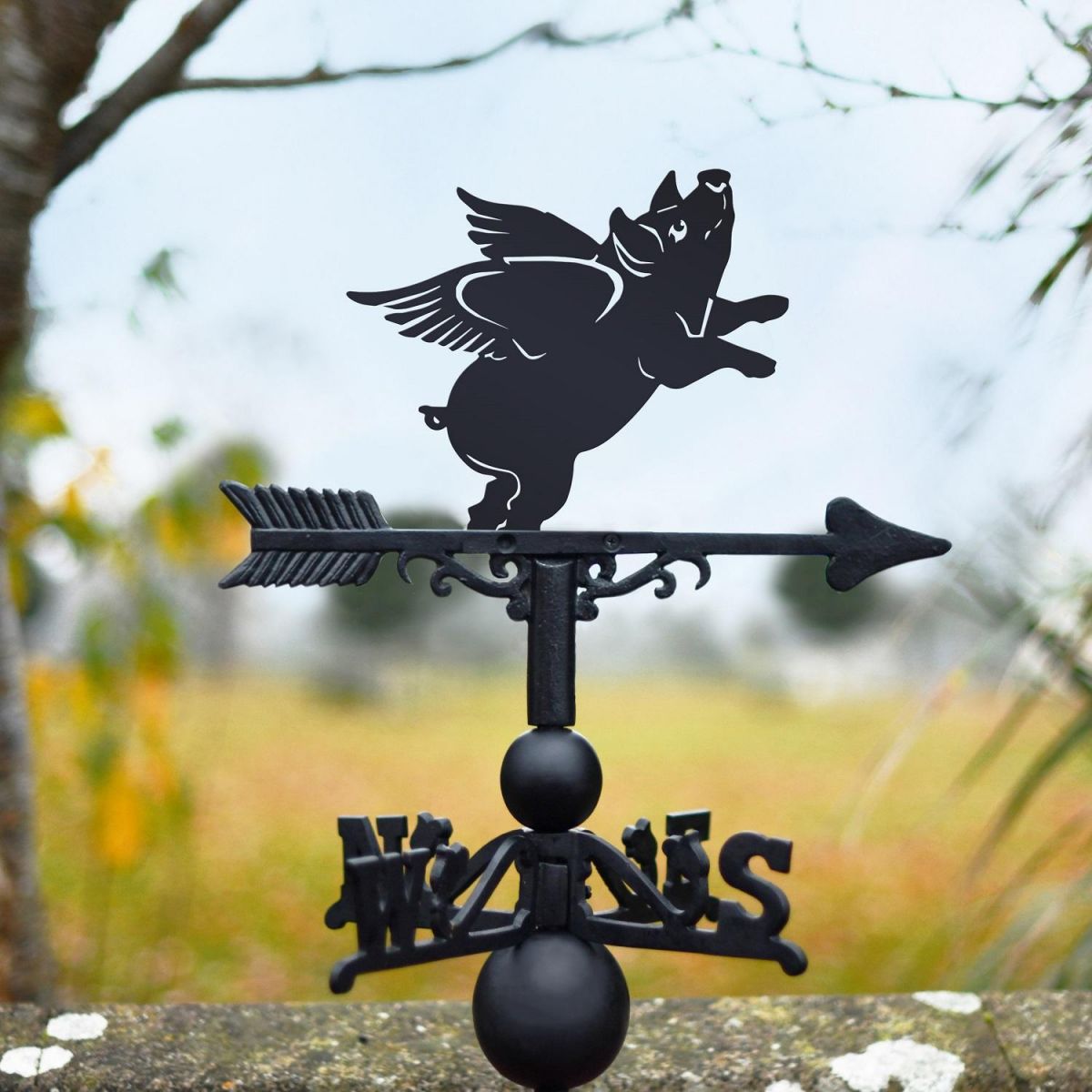 Weathervane Flying Pig Design 