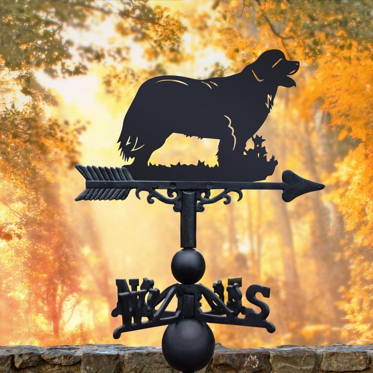 Black Weathervane with Newfoundland Design Black Weathervane with Newfoundland Design