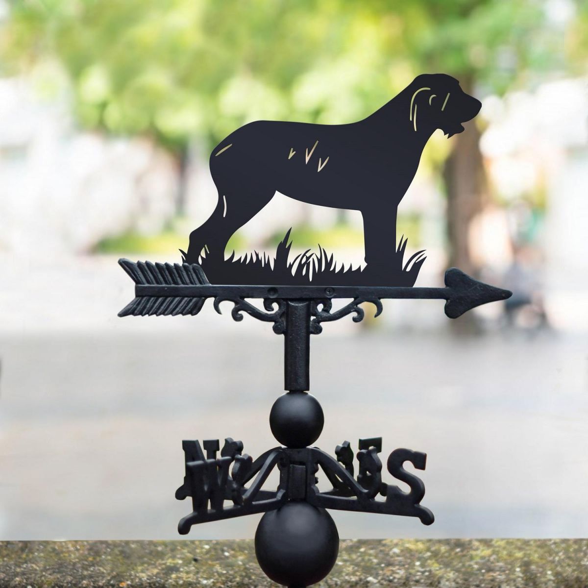 Weathervane of Italian Spinone in Black 