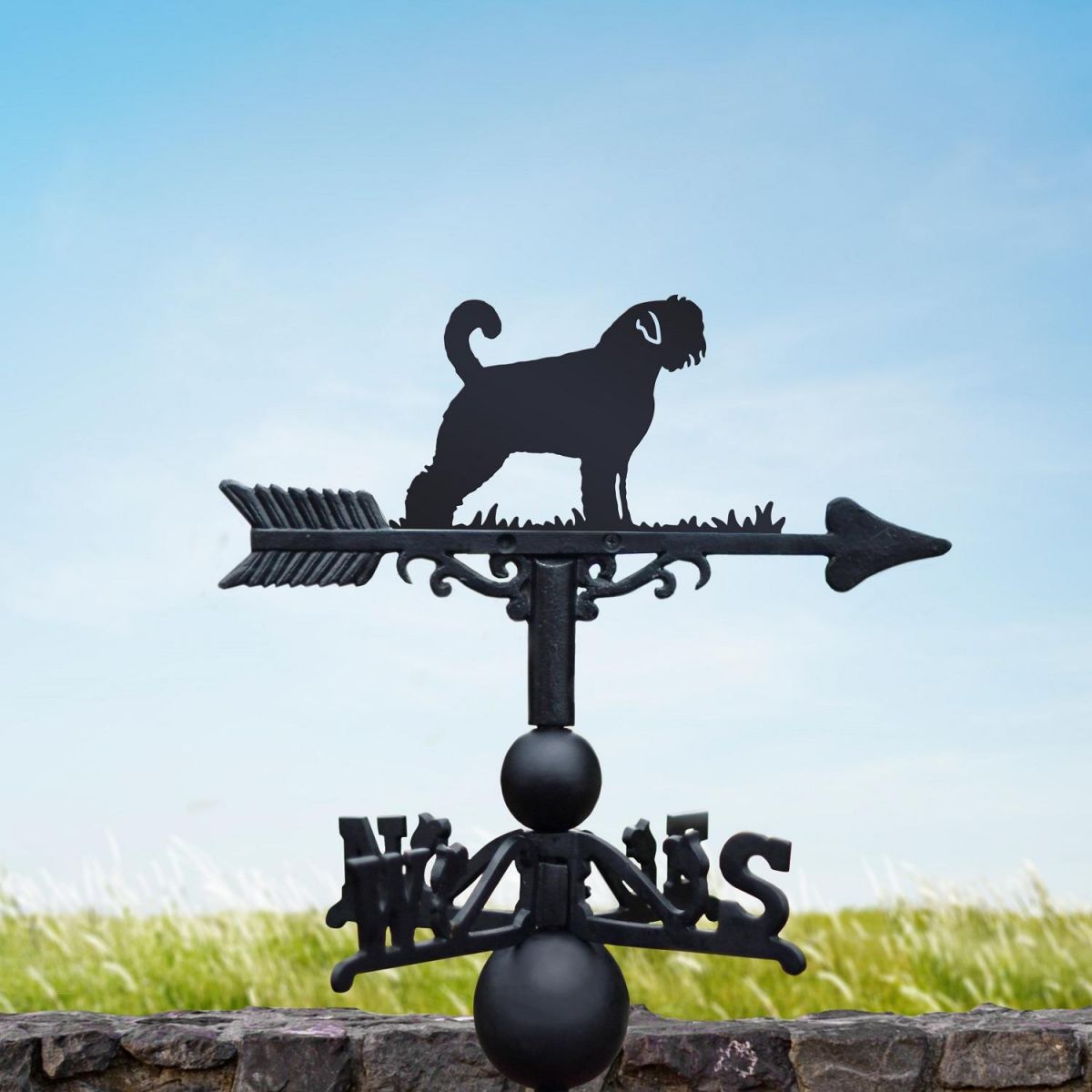 Bouvier des Flandres Weatheravne in Black 