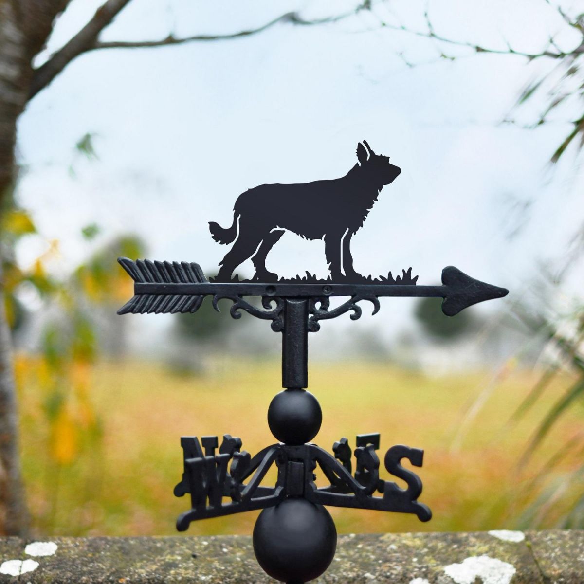 Black Weathervane with Berger Picard Design 
