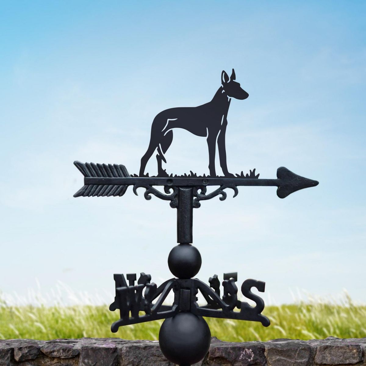 Black Weathervane of Ibizan Hound