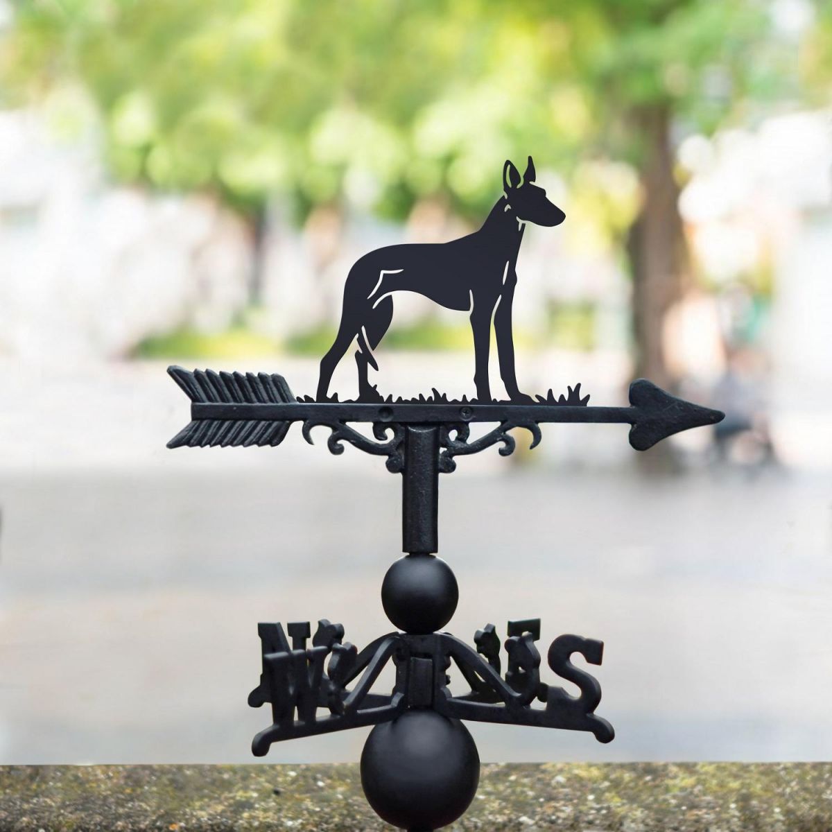 Ibizan Hound Dog Weathervane in Black 