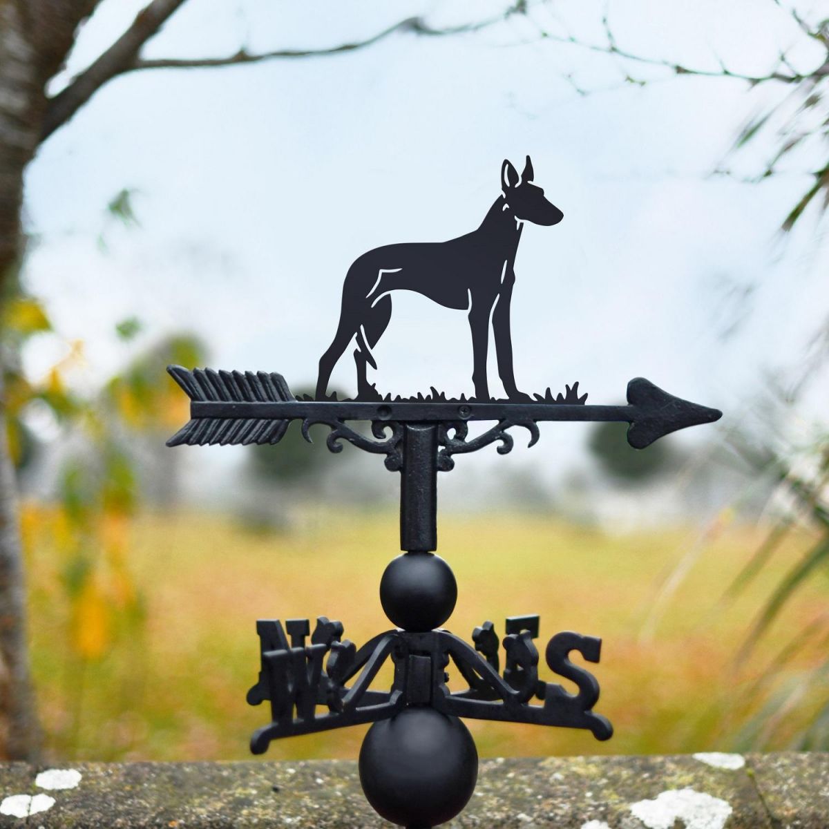 Ibizan Hound Dog Weathervane in Black 