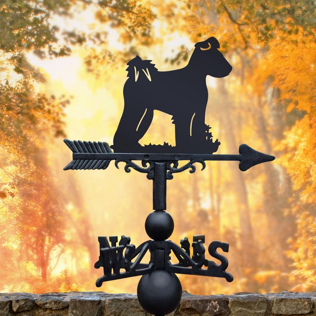 Hungarian Pumi Weathervane in Fall 