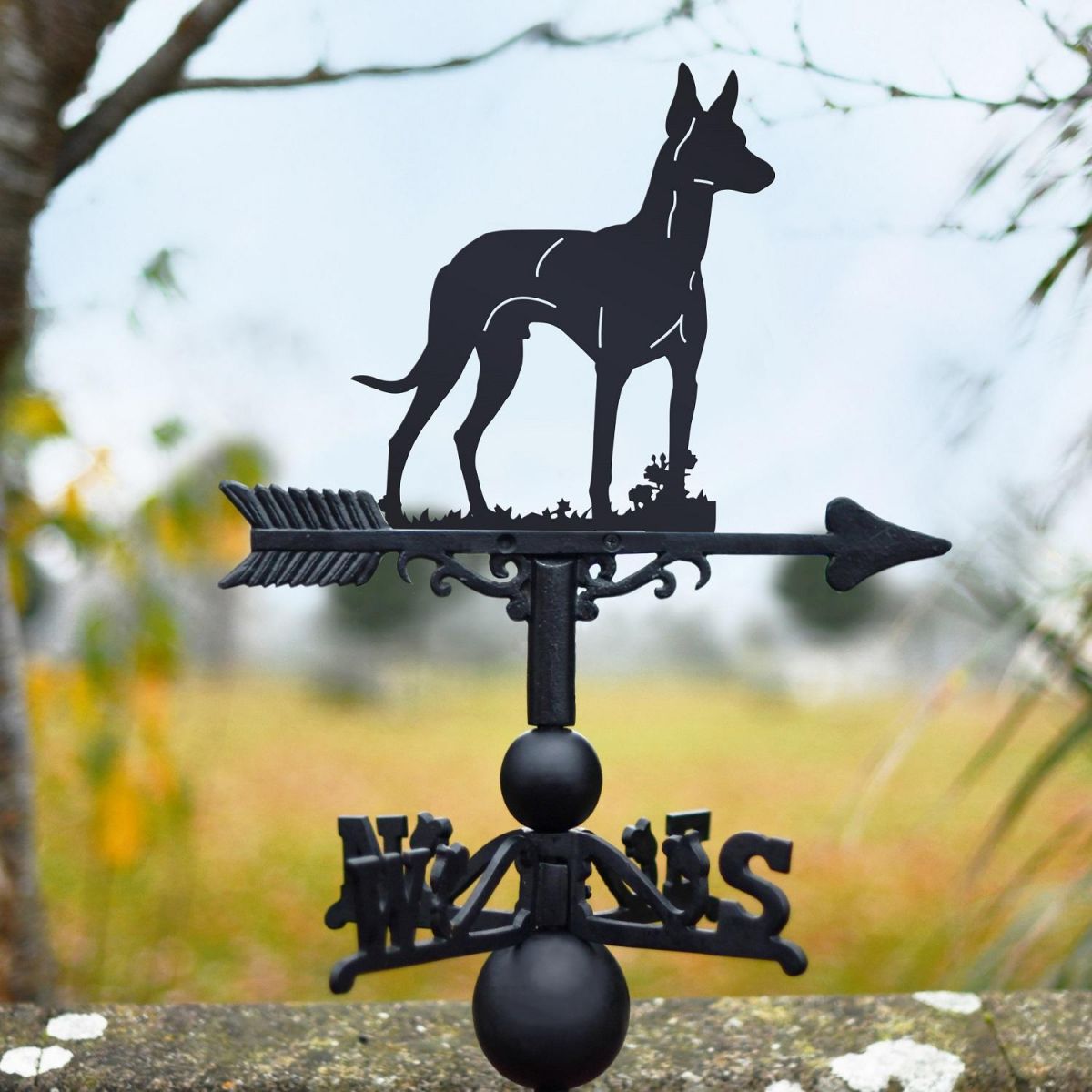 Black Weathervane with Pharaoh Hound Design 