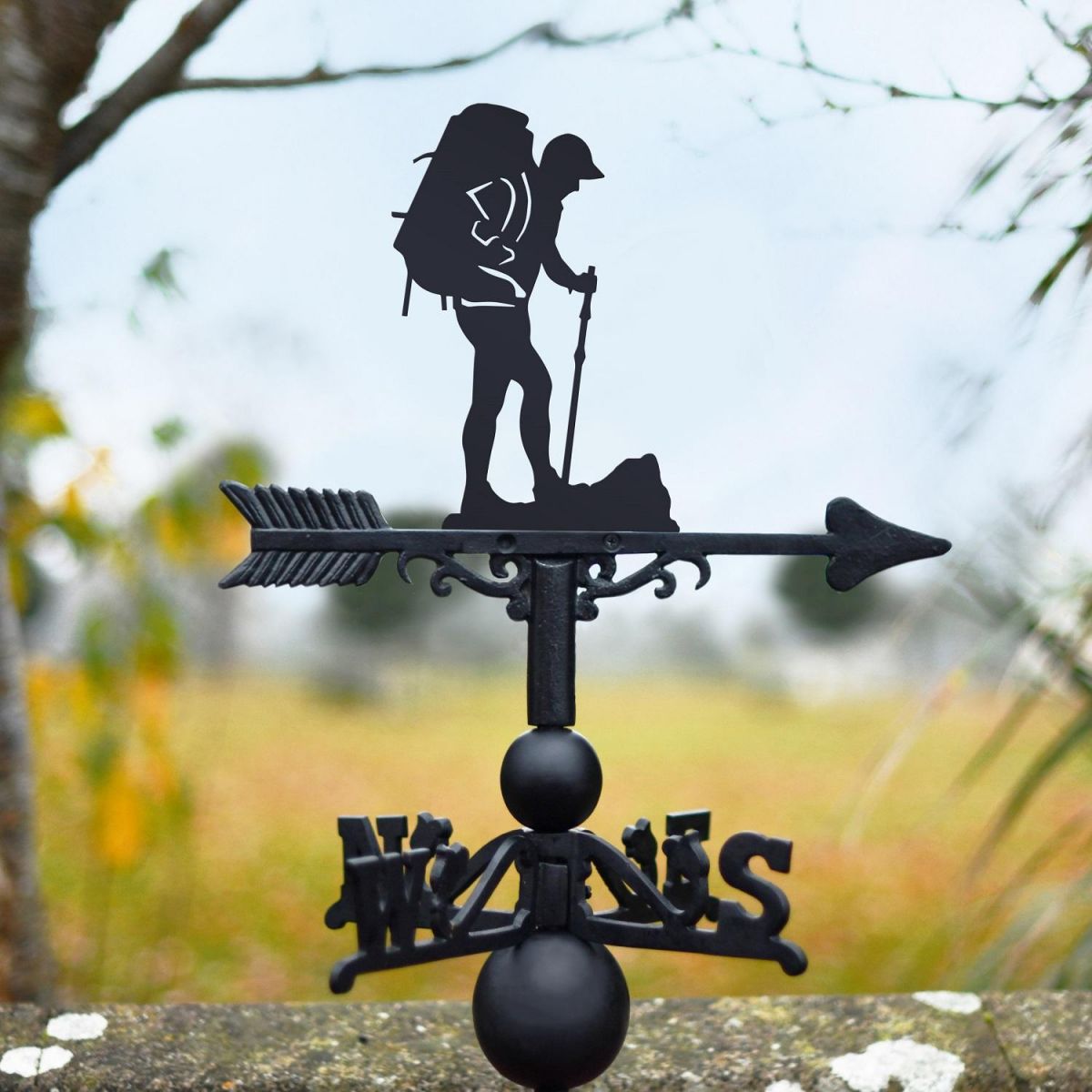 Backpacking Weathervane 