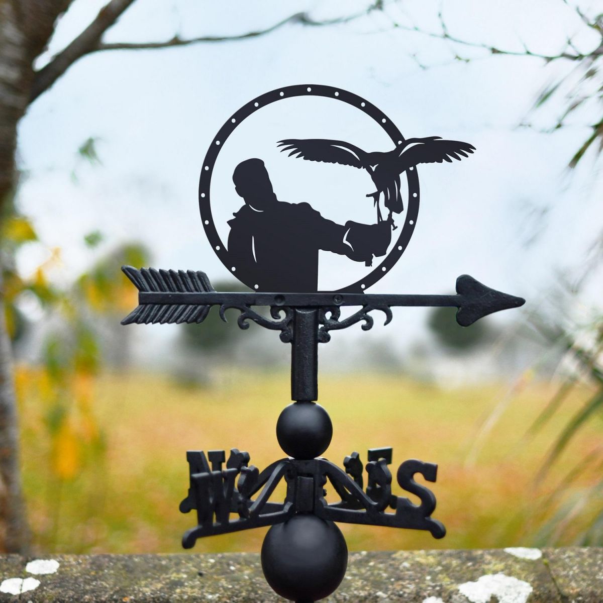 Falconry Design on Weathervane 