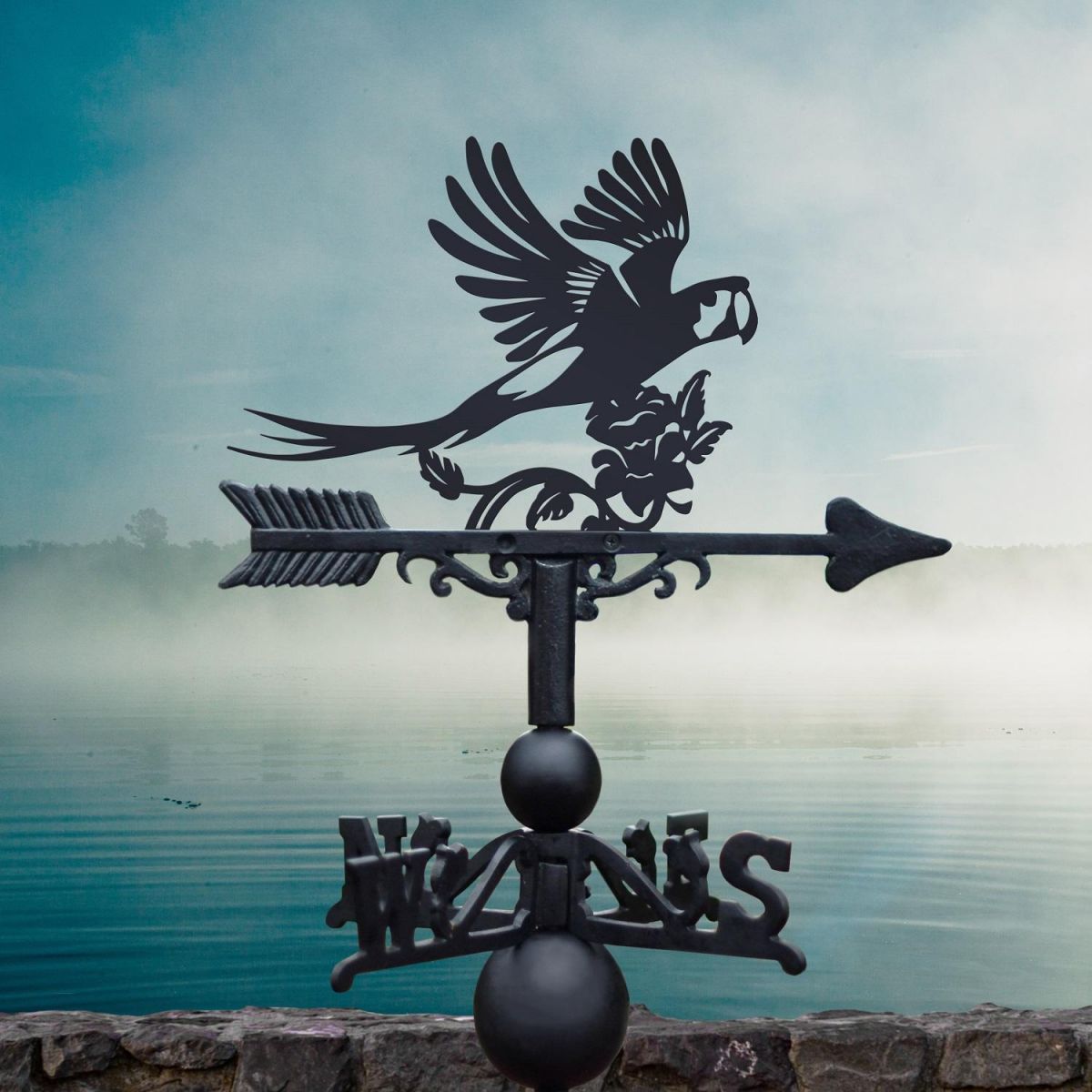 Black Weathervane with Macaw Design 