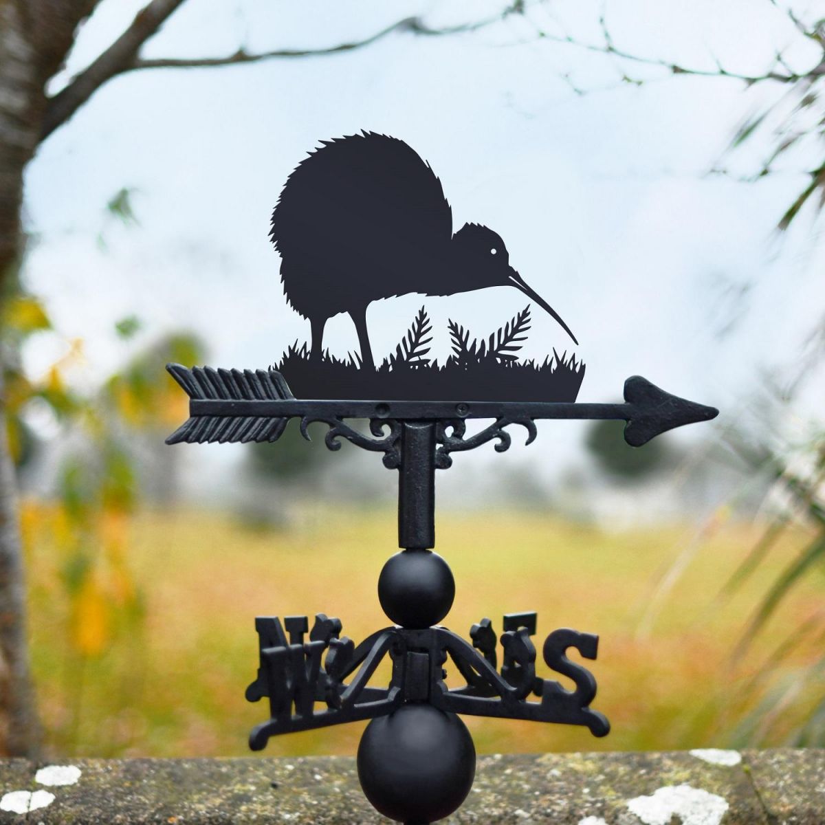 Kiwi Bird Weathervane