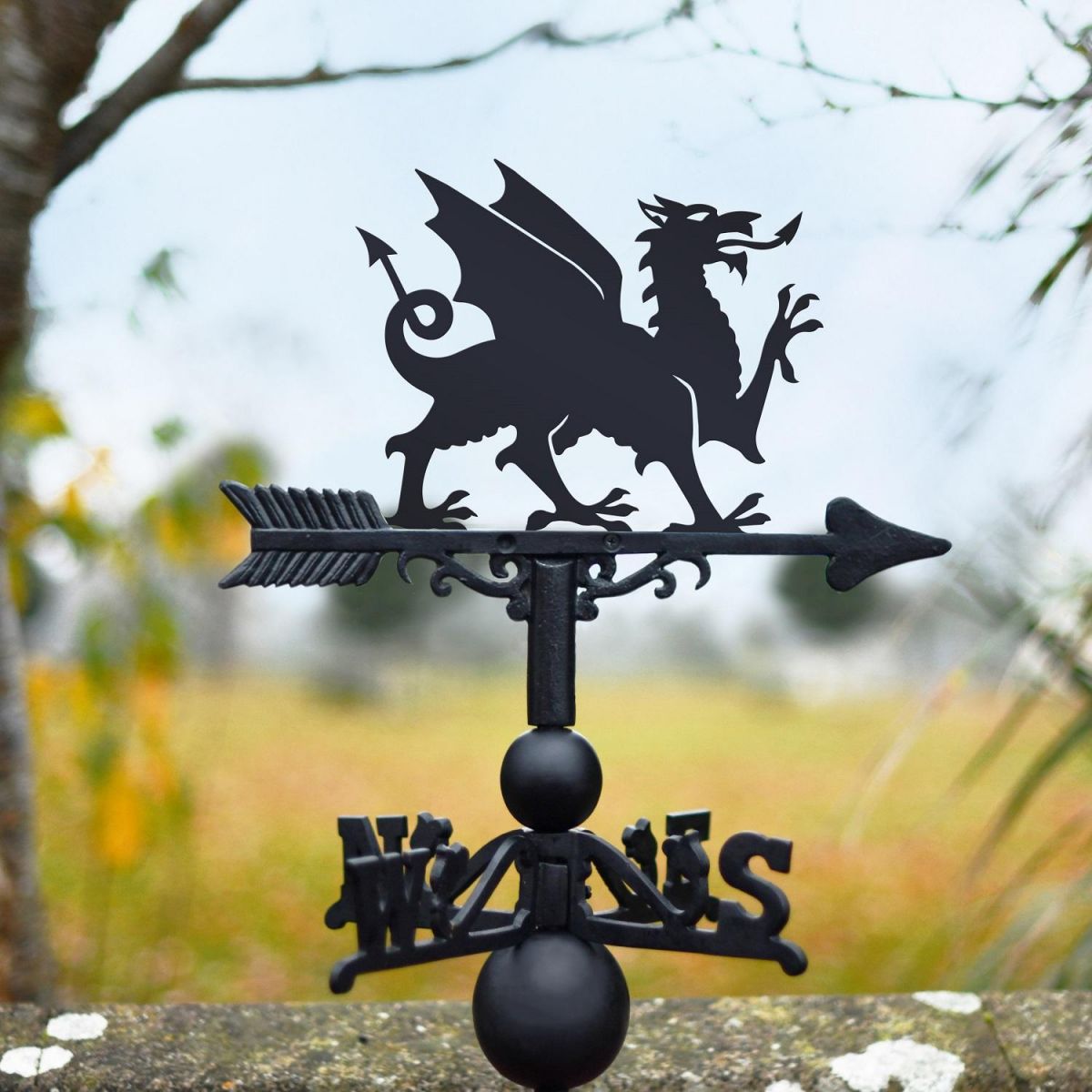 Welsh Dragon Weathervane in Garden 