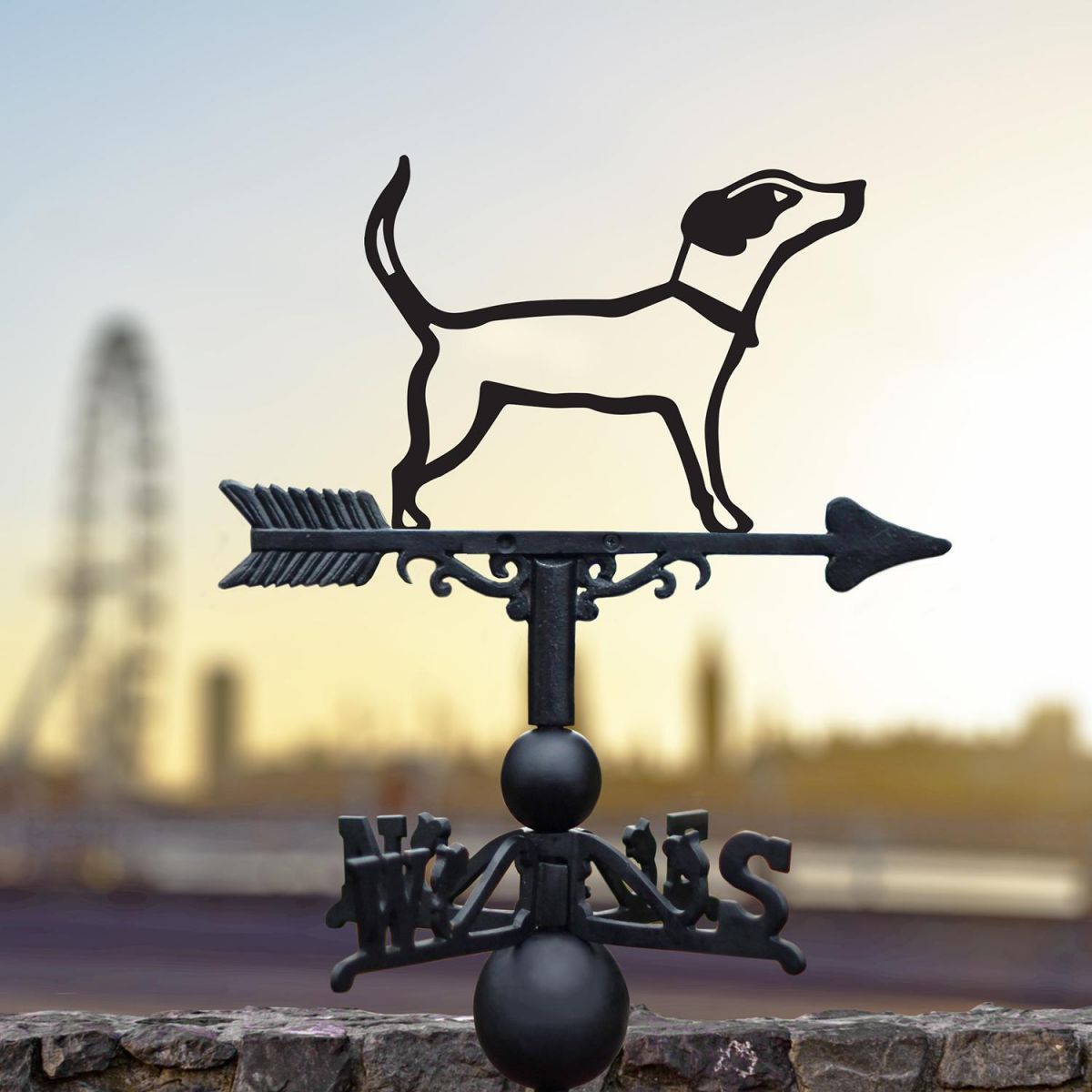 Jack Russel Iron Weathervane in View in the City