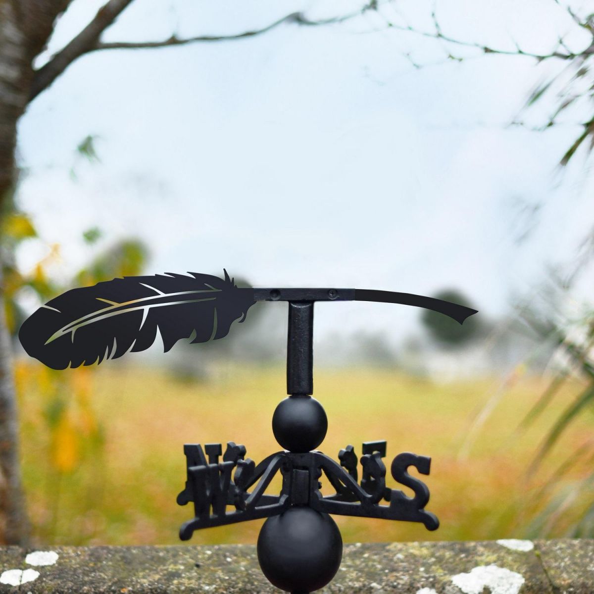 Feather Weathervane in Black  Feather Weathervane in Black