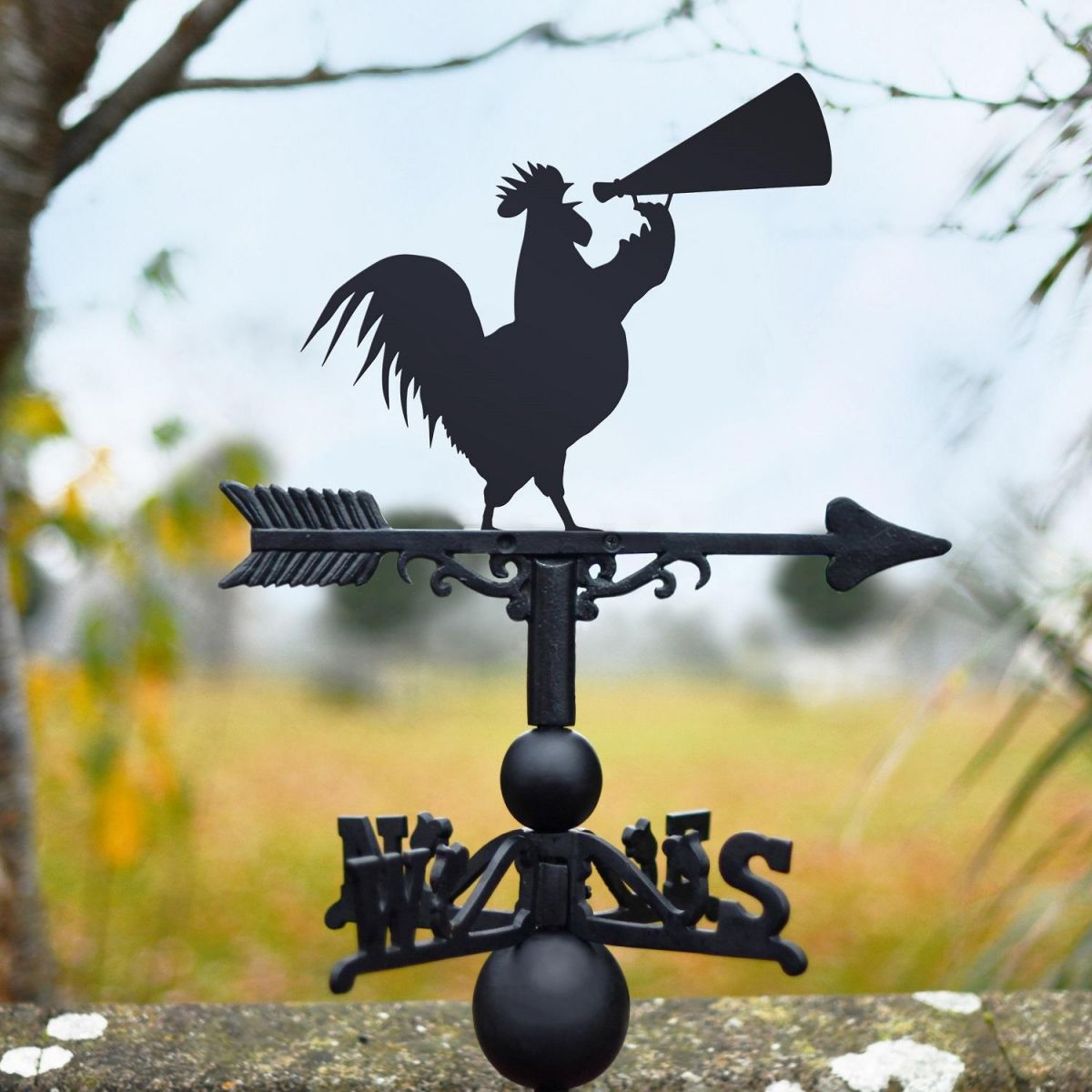 Black Rooster & Cone Weathervane 