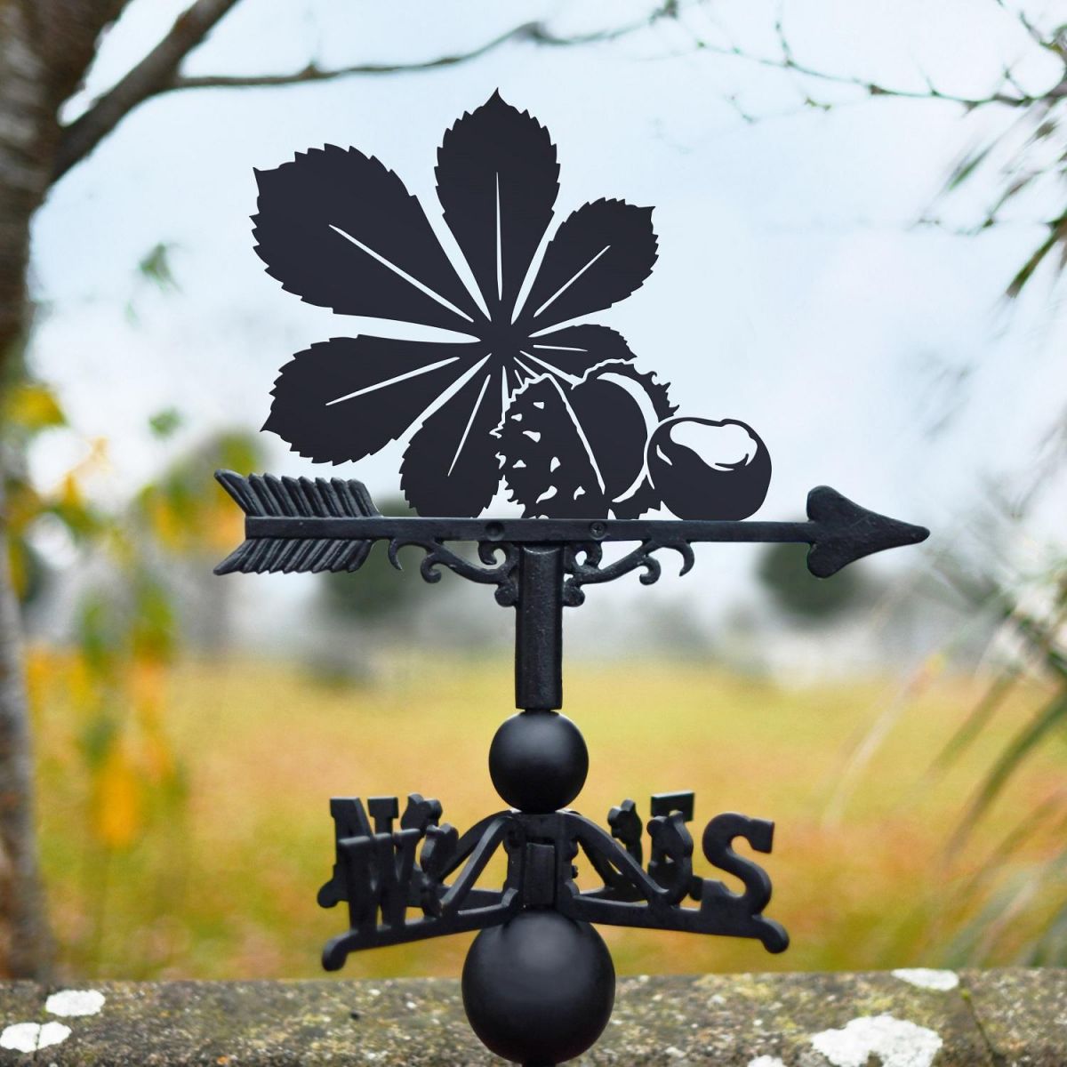 Horse Chestnut Weathervane in Black 