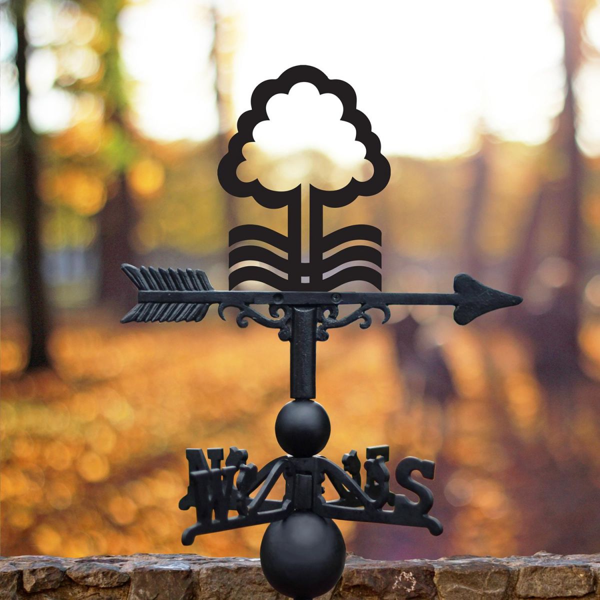 Nottingham Tree Iron Weathervane in the Garden