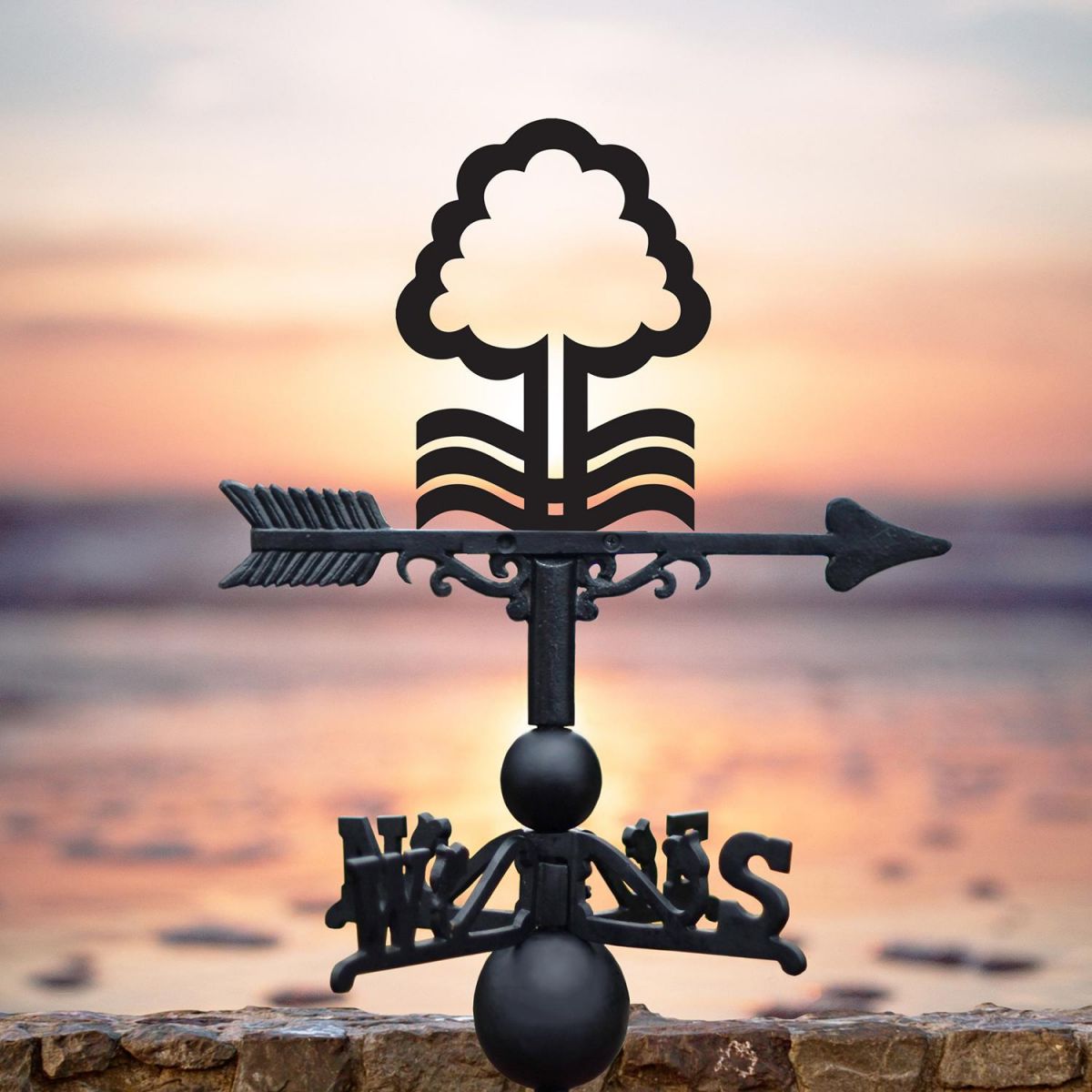 Nottingham Tree Outside by the Sea