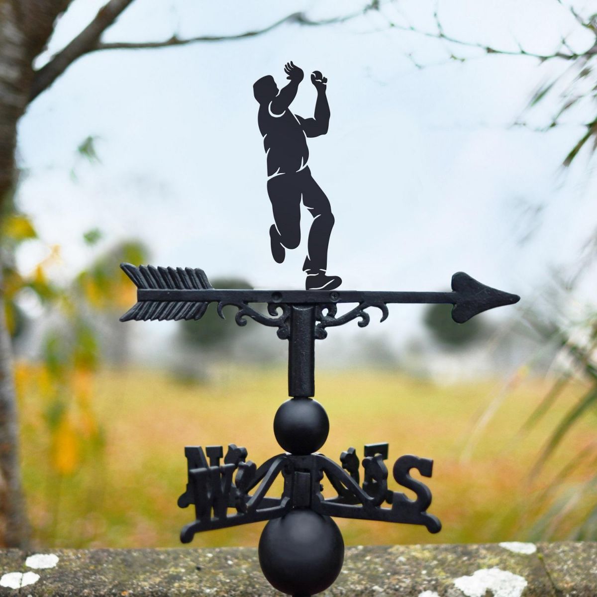 Cricket Bowler Weathervane in Black 