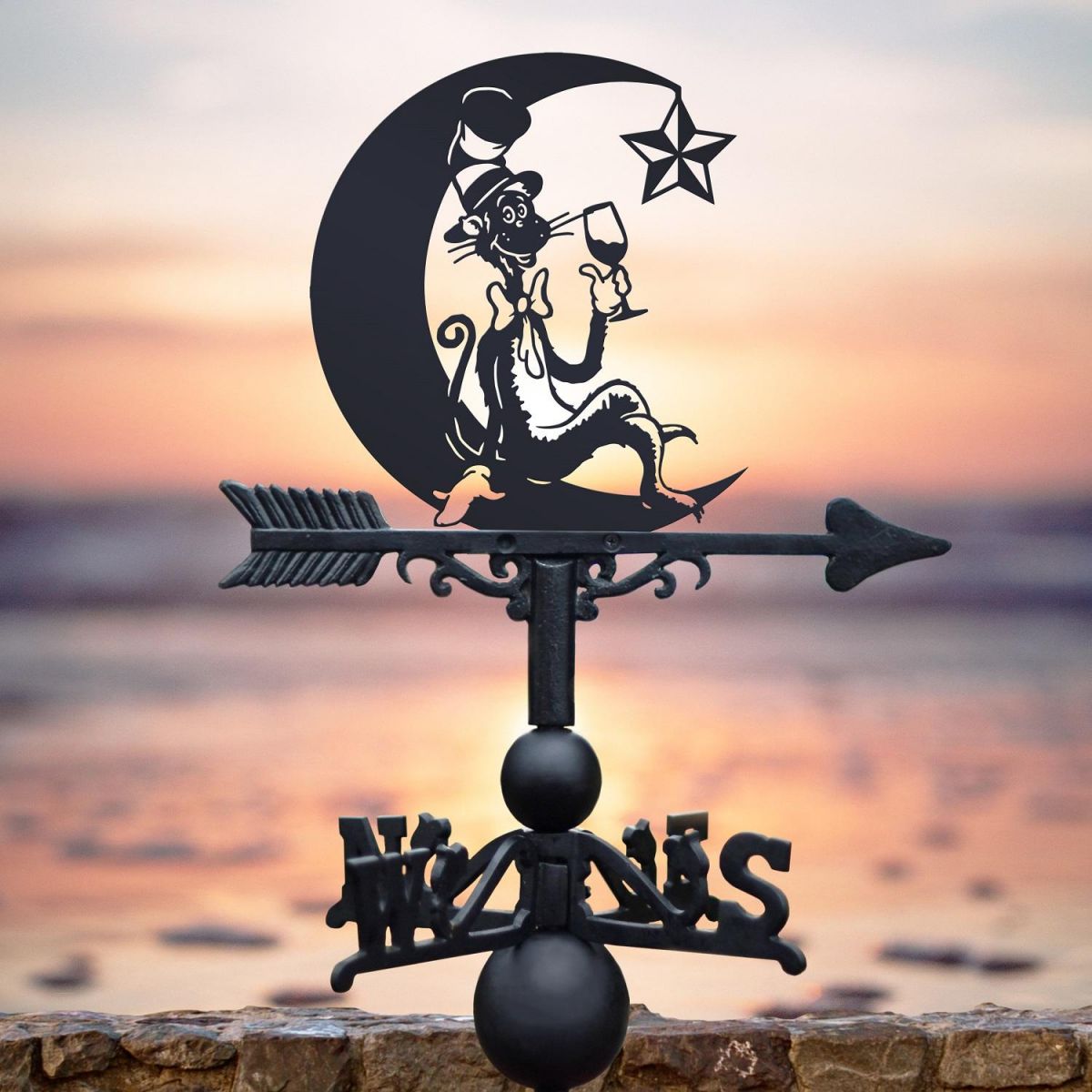 Weathervane with Cat in the Hat Design 