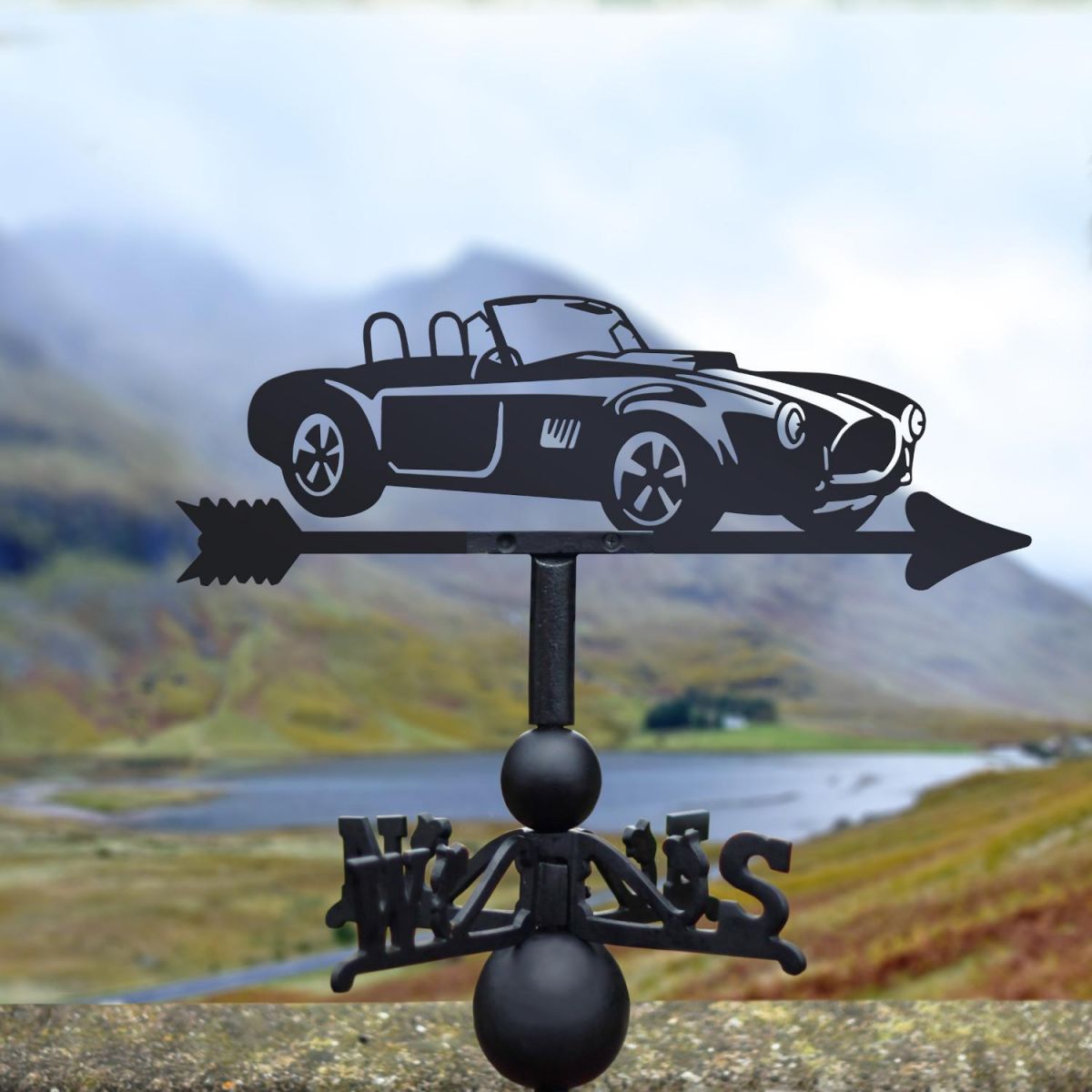 AC Cobra Weathervane in Location
